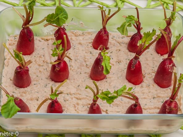 Champ de radis à la mousse de thon