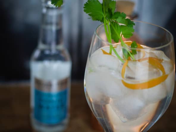 Cocktail Gin tonic maison