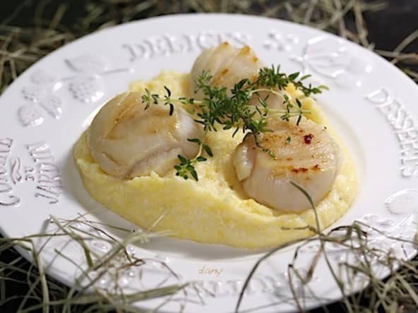 Saint-Jacques fumées au thym et au foin de la Crau polenta au parmesan