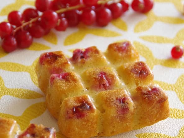 Moelleux aux groseilles