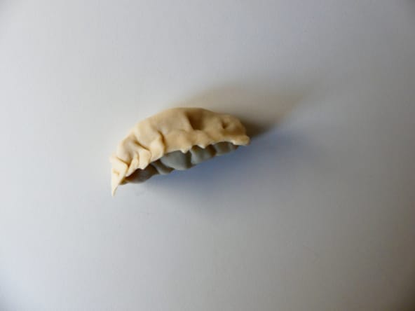 Guōtiē au tempeh, chou et oignons de printemps