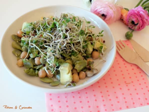 Salade pois chiches, fève et avocat
