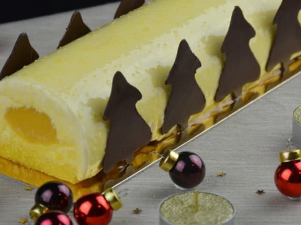 Bûche de Noël 100% fruits de la passion