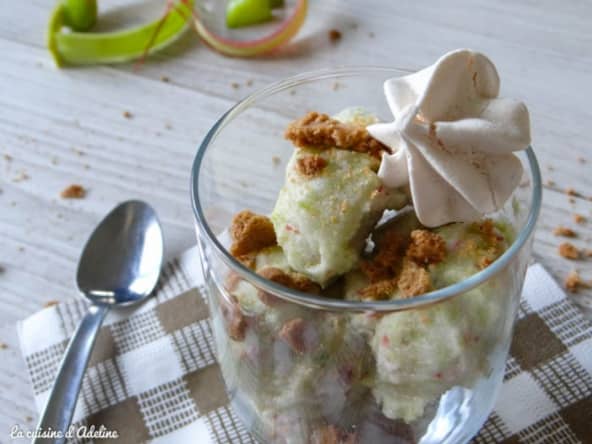 Sorbet rhubarbe minute sans sorbetière