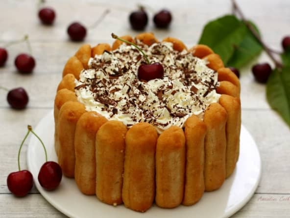Charlotte au chocolat et cerise façon Forêt Noire
