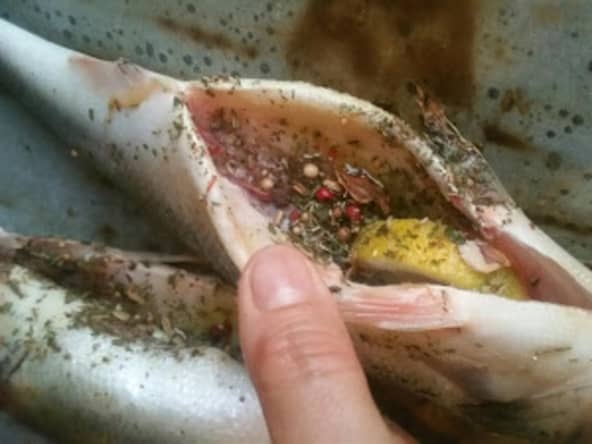 Bar ou Loup à la plancha aux saveurs de la Provence