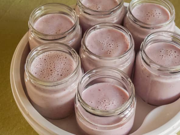 Yaourts au coulis de cassis