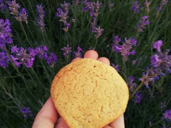 Biscuits citron et lavande