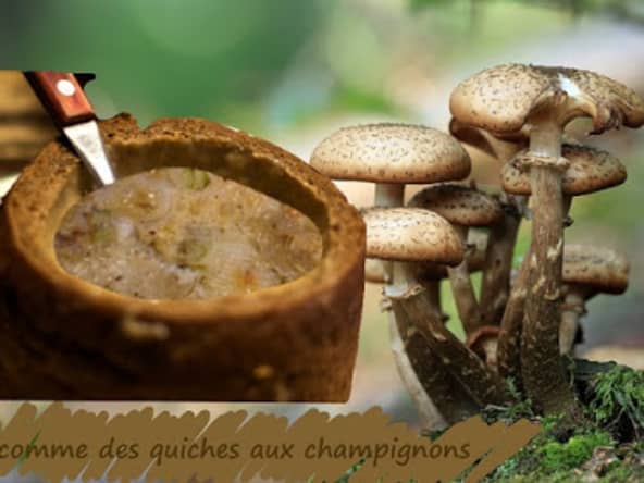 Croustades aux champignons, oeufs et fromage