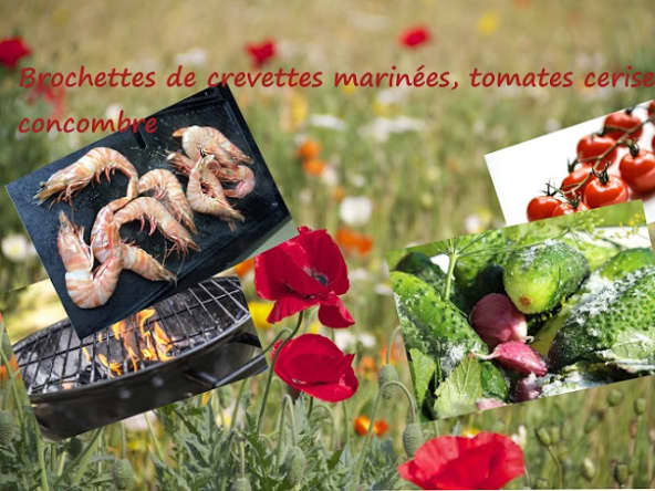 Brochettes aux crevettes, marinées, au concombre et tomates