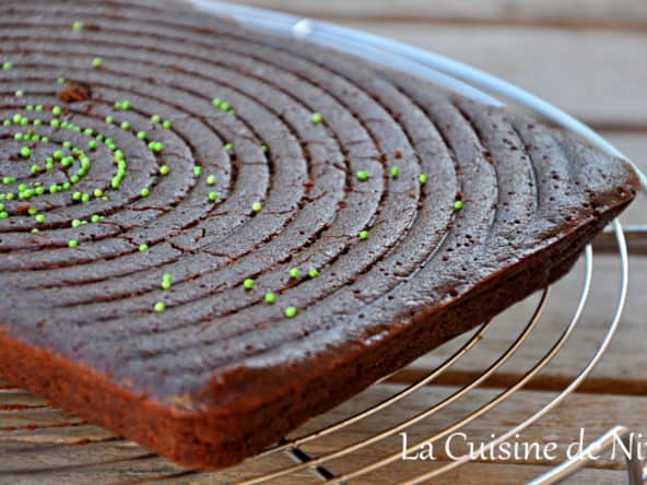 Gâteau au chocolat et graines de chia