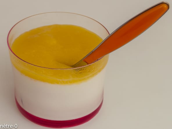 Panna cotta au coulis de mangue maison