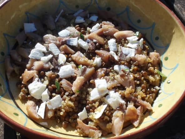 Salade chaud-froid de lentilles et quinoa au haddock