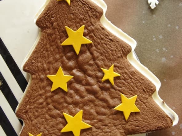 Sapin chocolaté citronné