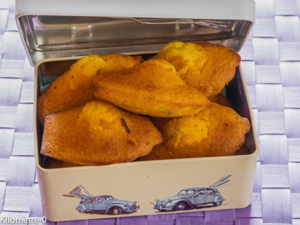 Madeleines aux pépites de chocolat