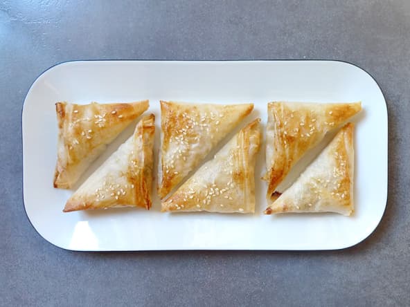 Samoussas au poulet, carottes et raisins secs (au four)