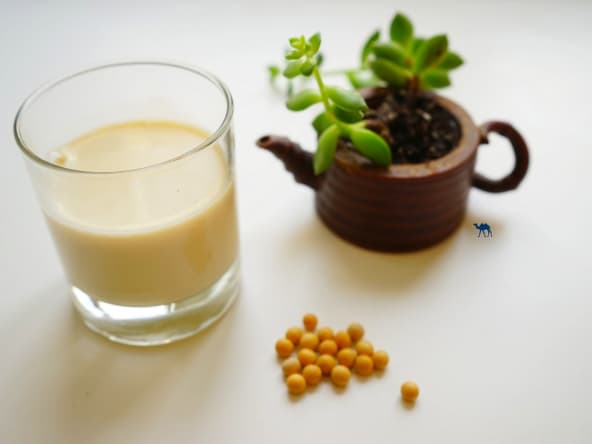 Lait de soja fait maison facile et rapide