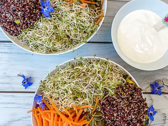 Buddha bowl au quinoa noir et autres saveurs végétales