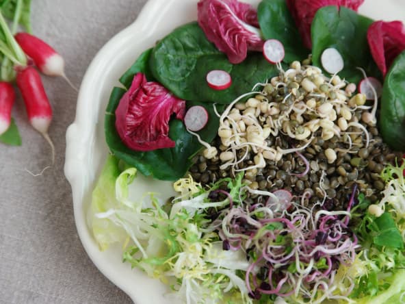 Faites germer vos pousses de soja , c’est hyper facile avec le pas à pas !