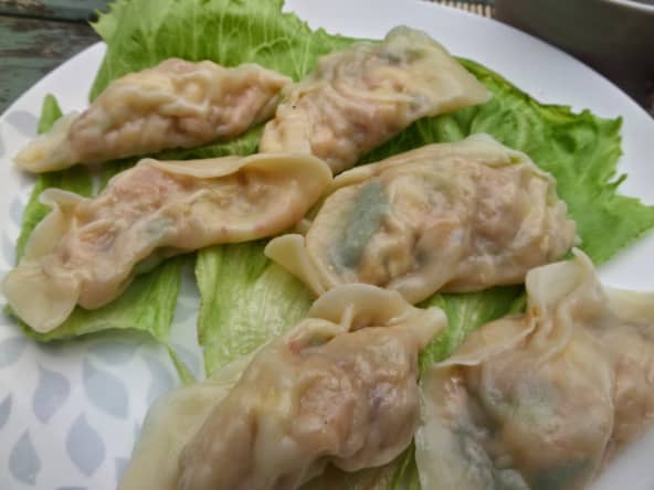 Petits raviolis chinois
