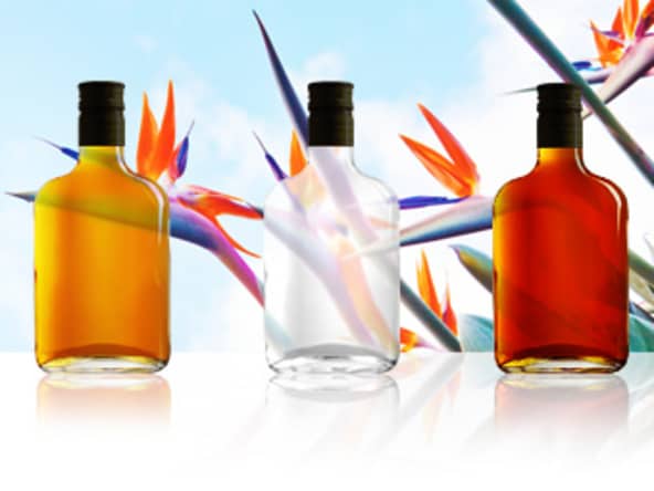 Sauce Chien Martinique Guadeloupe