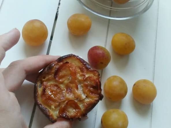 Gâteaux aux mirabelles de Lorraine