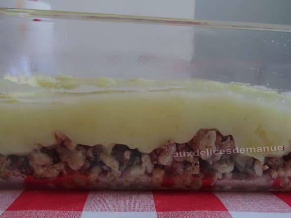 Hachis parmentier express 