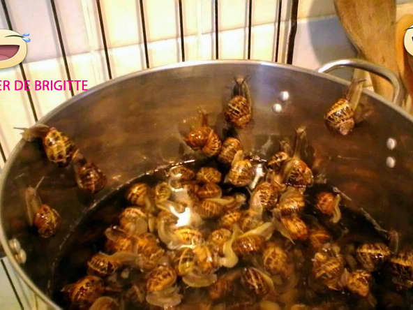 Cagouillades ou Escargots à la Bordelaise