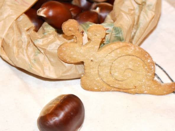 Biscuits châtaigne orange