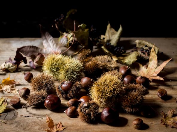 Risotto aux châtaignes