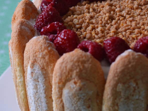 Charlotte nougat framboise