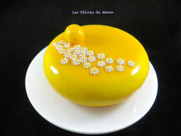 Entremets Soleil de Malibu