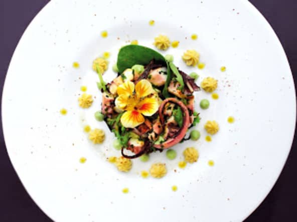 Poulpe, crème d'avocat, houmous et vinaigrette mangue-agrumes