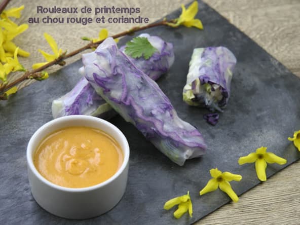 Rouleaux de printemps au chou rouge et à la coriandre sauce piquante