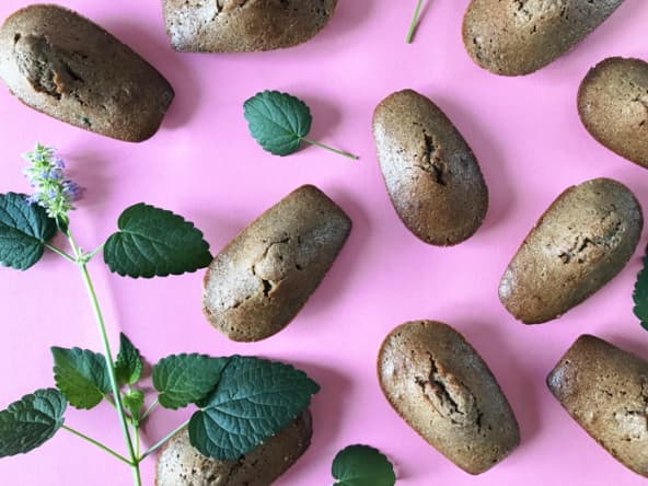 Madeleines à l'agastache