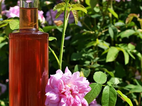 Sirop de pétales de roses de Damas fait maison