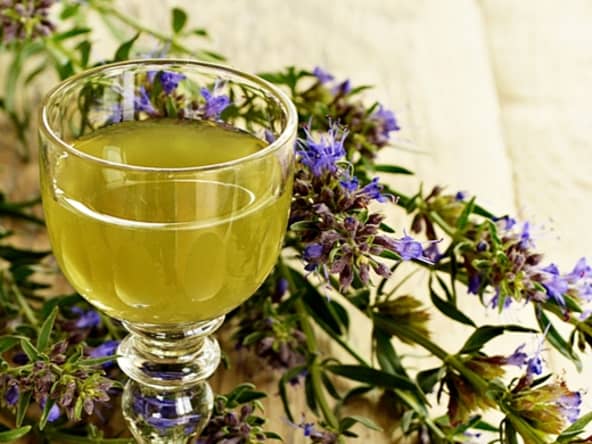 Liqueur d'Hysope officinale