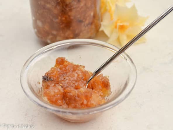 Confiture de citrons, figues et gingembre avec les fruits d'un kéfir