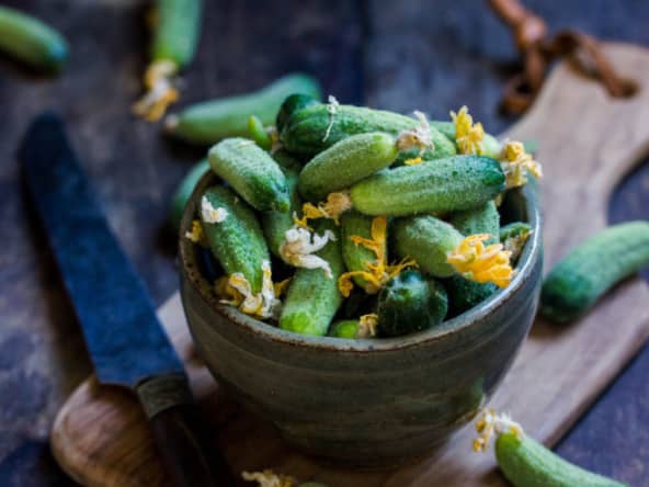 Cornichons maison en saumure par fermentation
