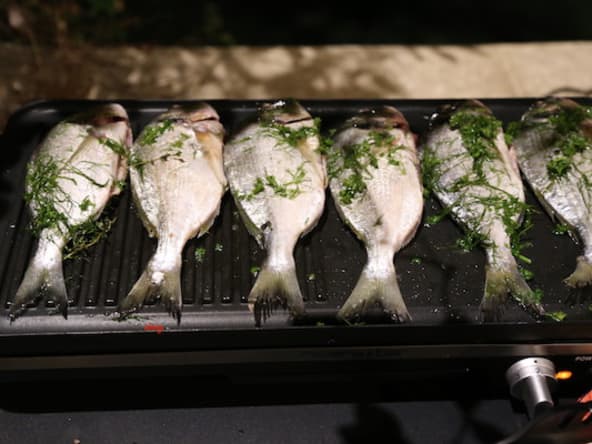 Dorade à l'huile d'herbes aromatiques à la plancha
