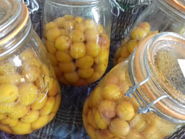 Comment préparer des conserves de mirabelles au naturel ?