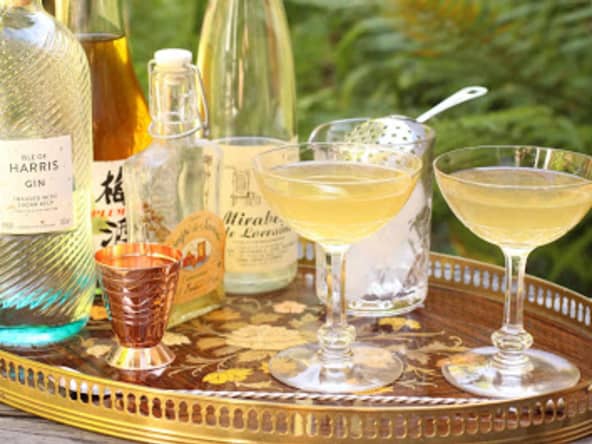 Cocktail Martini 'Hummingbird'