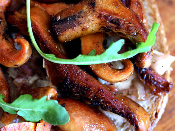 Brushetta aux champignons des bois