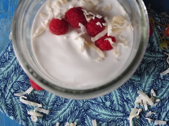 Yaourt à la noix de coco maison