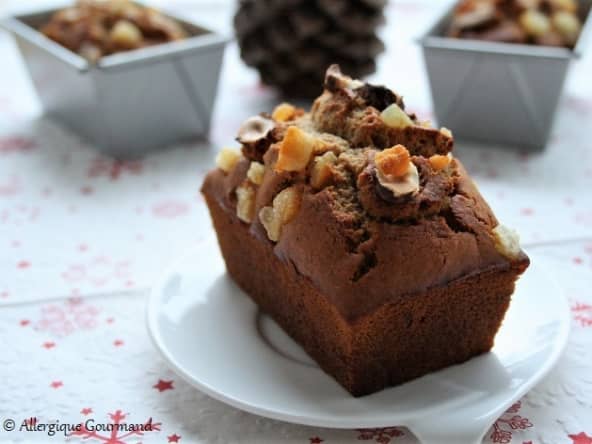 Pain d'épices châtaigne, fruits confits, noisettes, sans gluten, sans lait, sans œufs