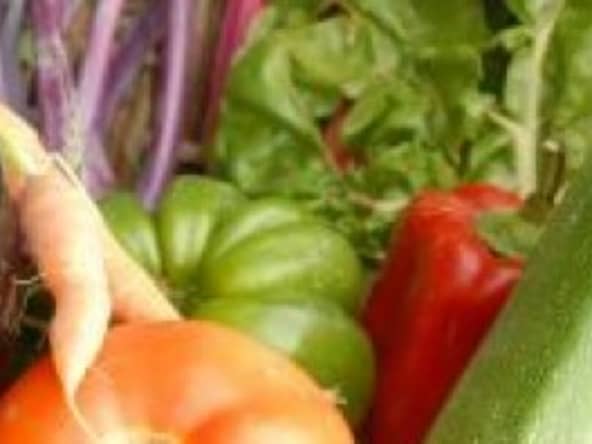 Brownie vegan et léger de patate douce