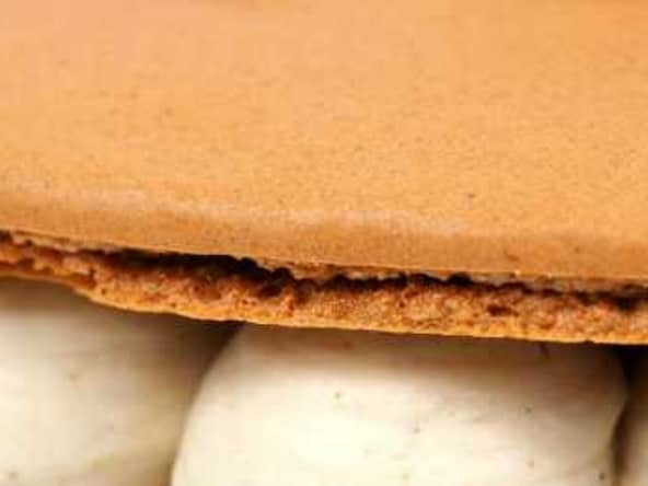 Macaron Géant Marron Myrtille