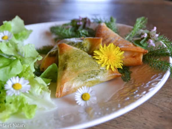 Samossas au chèvre et au pesto d'ail des ours maison