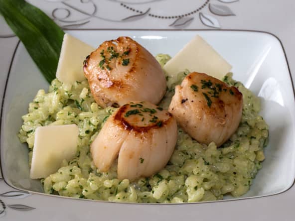 Noix de St-Jacques, risotto à l'ail des ours