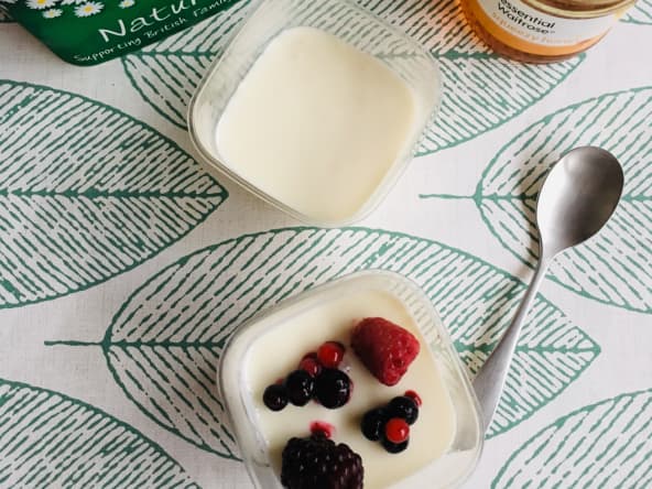 « Panna cotta » légère au yaourt et aux fruits rouges